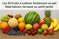 Les 20 fruits à cultiver facilement en pot – Idéal balcon, terrasse ou petit jardin"