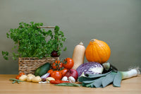 Associer les plantes au potager : le guide des meilleures associations - MOM GARDEN