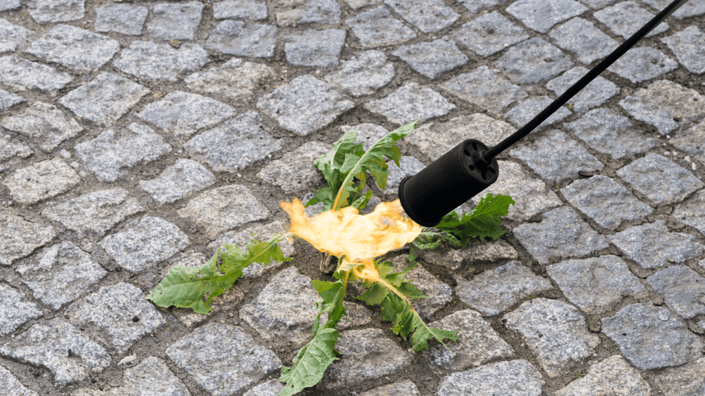 Comment choisir le meilleur désherbeur thermique