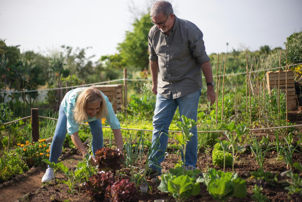 Découvrez comment créer facilement votre premier potager, même en tant que débutant ! Conseils pratiques, matériel indispensable, astuces avec Mom’s Garden