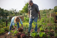 Découvrez comment créer facilement votre premier potager, même en tant que débutant ! Conseils pratiques, matériel indispensable, astuces avec Mom’s Garden - MOM GARDEN