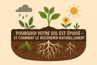 Pourquoi votre sol est fatigué – et comment le régénérer naturellement