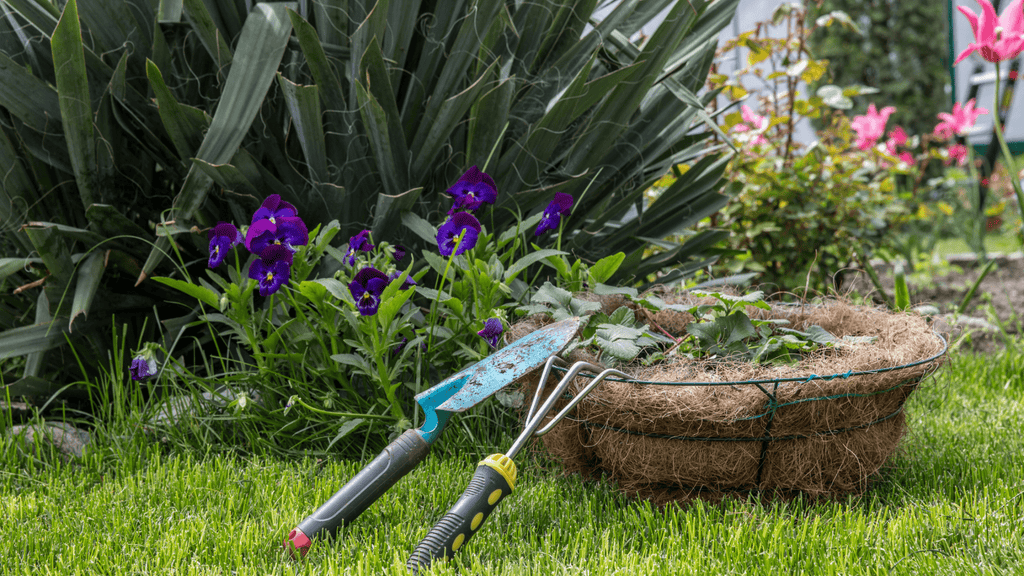 Jardinage pour les débutants