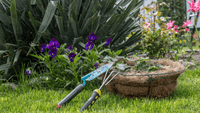 Jardinage pour les débutants - MOM GARDEN