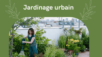 "Jardinage Urbain : Réalisez un Oasis de Verdure en Ville avec ces Conseils" - MOM GARDEN