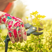 Outils de coupe - MOM GARDEN