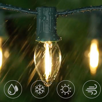 Pack 6 ampoules LED de rechange