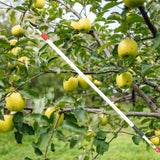"Cueilleur de Fruits Télescopique 1M/2.2M avec Sécateur et Lame de Scie - MOM GARDEN"