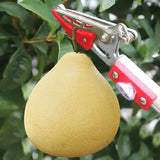 "Cueilleur de Fruits Télescopique 1M/2.2M avec Sécateur et Lame de Scie - MOM GARDEN"