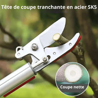 "Cueilleur de Fruits Télescopique 1M/2.2M avec Sécateur et Lame de Scie - MOM GARDEN"
