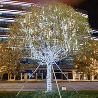 "Guirlande Pluie de Météores LED 30/50cm - MOM GARDEN"