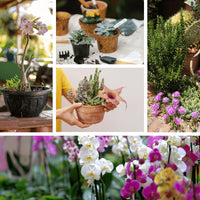 "Kit d'Outils pour Plantes Succulentes - MOM GARDEN"
