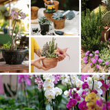 "Kit d'Outils pour Plantes Succulentes - MOM GARDEN"