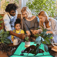 "Kit d'Outils pour Plantes Succulentes - MOM GARDEN"