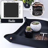 "Kit d'Outils pour Plantes Succulentes - MOM GARDEN"