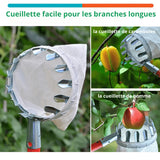 "Cueilleur de Fruits en Métal - MOM GARDEN"