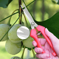 "Ciseaux de Taille de Jardin Polyvalents - MOM GARDEN"
