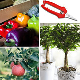 "Ciseaux de Taille de Jardin Polyvalents - MOM GARDEN"