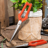 Ciseaux de Taille de Jardin Polyvalents - 
