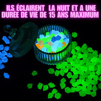 "Pierres Lumineuses Décoratives pour Jardin - MOM GARDEN"