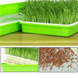 "Hydroponics kit - MOM GARDEN"