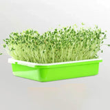 "Hydroponics kit - MOM GARDEN"