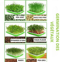 "Hydroponics kit - MOM GARDEN"