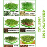 "Hydroponics kit - MOM GARDEN"