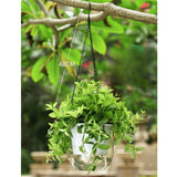 "Pots de Fleurs - MOM GARDEN"