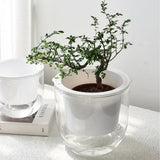 "Pots de Fleurs - MOM GARDEN"