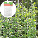 "Filet de Treillis pour Plantes de Jardin - MOM GARDEN"