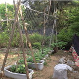 "Filet de Treillis pour Plantes de Jardin - MOM GARDEN"