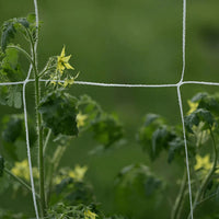 "Filet de Treillis pour Plantes de Jardin - MOM GARDEN"