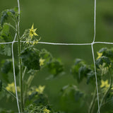 "Filet de Treillis pour Plantes de Jardin - MOM GARDEN"