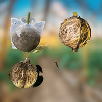 "Incubateur à Boules pour Plantes de Jardin - Haute Pression, - MOM GARDEN"