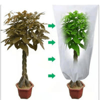 "Set de 2 de Sacs de Protection Anti - Gel pour Plantes d'Hiver - MOM GARDEN"