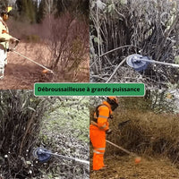 "Dent de Tronçonneuse pour Tondeuses à Gaz - MOM GARDEN"