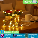 "Guirlande lumineuse"