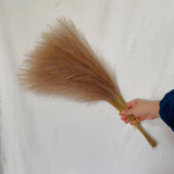 “Bouquet pampas artificielles marron café décoration intérieure chaleureuse”

“Herbe de pampa artificielle brun chic pour maison et bureau”