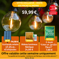 Guirlande lumineuse extérieur
