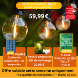 Guirlande lumineuse extérieur