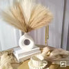 “Pampas artificielles beige naturel 55 cm déco maison cocooning”

“Herbe de pampa artificielle beige fluffy style scandinave boho”