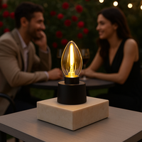 Pack 6 ampoules LED de rechange