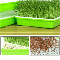 Hydroponics kit - MOM GARDEN