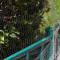 Filet de Jardin Anti-Insectes & Oiseaux avec Fermeture Éclair – Protection Fruits & Fleurs