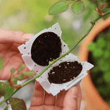 Incubateur à Boules pour Plantes de Jardin - Haute Pression, - MOM GARDEN