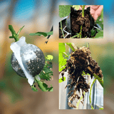 Incubateur à Boules pour Plantes de Jardin - Haute Pression, - MOM GARDEN
