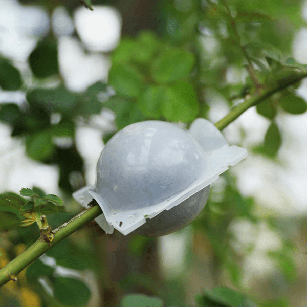 Incubateur à Boules pour Plantes de Jardin - Haute Pression, - MOM GARDEN