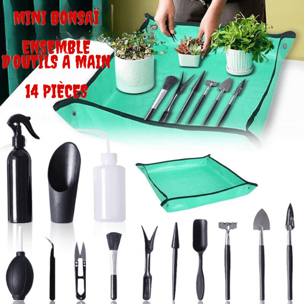 Kit d'Outils pour Plantes Succulentes - MOM GARDEN