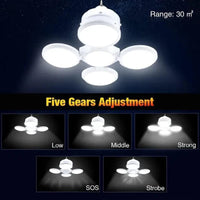 Lampe solaire de jardin - MOM GARDEN
